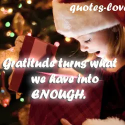 Gratitude turns what we have into enough.
