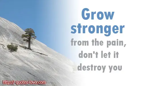 Grow stronger from the pain, don't let it destroy you