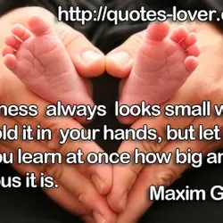 Happiness always looks small while you hold it in your hands, but let it go,...