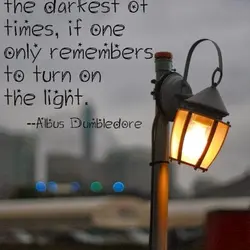 Happiness can be found, even in the darkest of times, if one only remembers to...