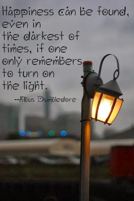 Happiness can be found, even in the darkest of times, if one only remembers to turn on the light. 