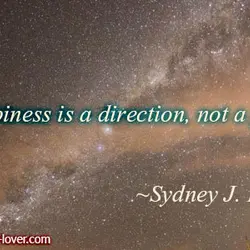 Happiness is a direction, not a place.