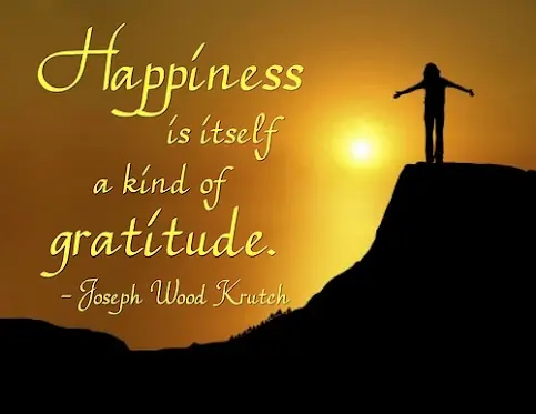 Happiness is itself a kind of gratitude 