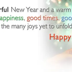 Here's to a wonderful New Year and a warm adieu to the old! Here's to...