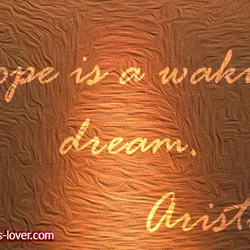 Hope is a waking dream.