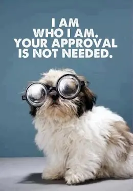 I am who I am. Your approval is not needed.