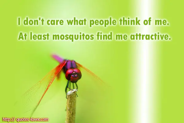 I don't care what people think of me. At least mosquitos find me attractive.