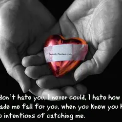 I don't hate you, I never could, I hate how you made me fall for...