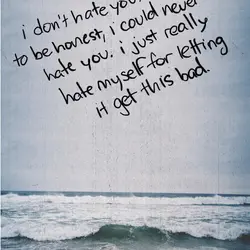 I don't hate you, to be honest, I could never hate you. I just really...