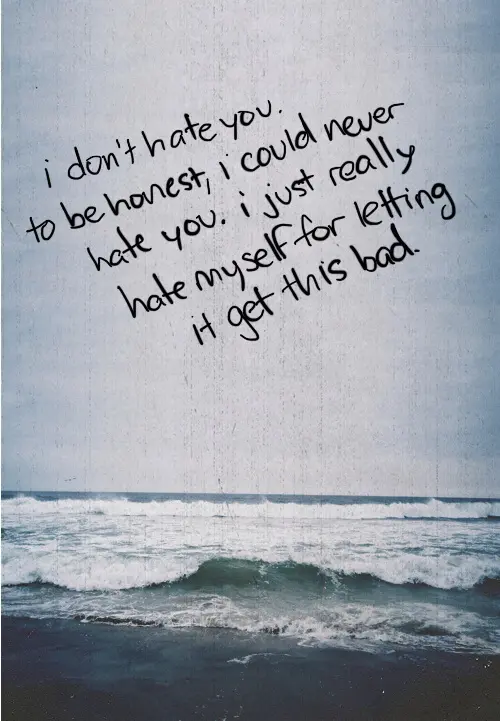 I don't hate you, to be honest, I could never hate you. I just really hate myself for letting it get this bad.