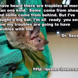 I have heard there are troubles of more than one kind. Some come from ahead...