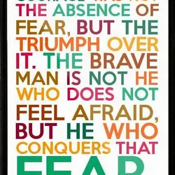 I learned that courage was not the absence of fear, but the triumph over it....