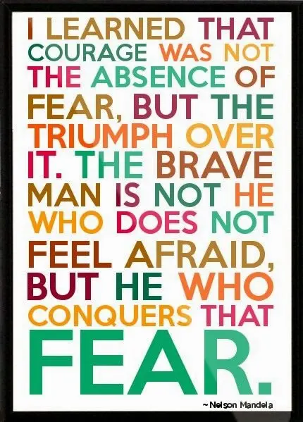 I learned that courage was not the absence of fear, but the triumph over it. The brave man is not he who does not feel afraid, but he who conquers that fear.