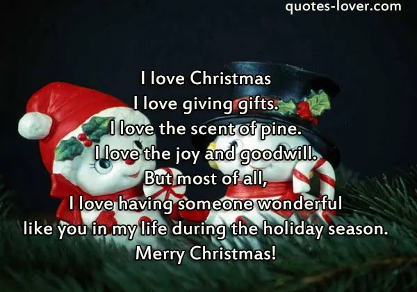 I love Christmas I love giving gifts. I love the scent of pine. I love the joy and goodwill. But most of all, I love having someone wonderful like you in my life during the holiday season. Merry Christmas!