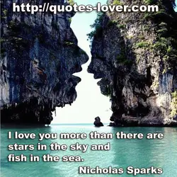 I love you more than there are stars in the sky and fish in the...