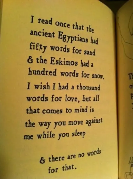 I read once that the ancient Egyptians had fifty words for sand & the Eskimos had a hundred words for snow. I wish I had a thousand words for love, but all that comes to mind is the way you move against me while you sleep & there are no words for that.
