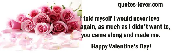 I told myself I would never love again, as much as I didn't want to, you came along and made me.  