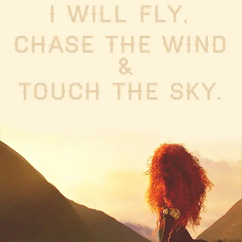 I will fly, chase the wind and touch the sky.