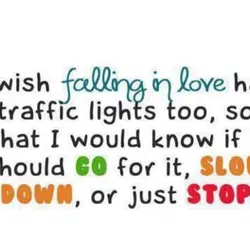 I wish falling in love has traffic lights too so that I would know if...