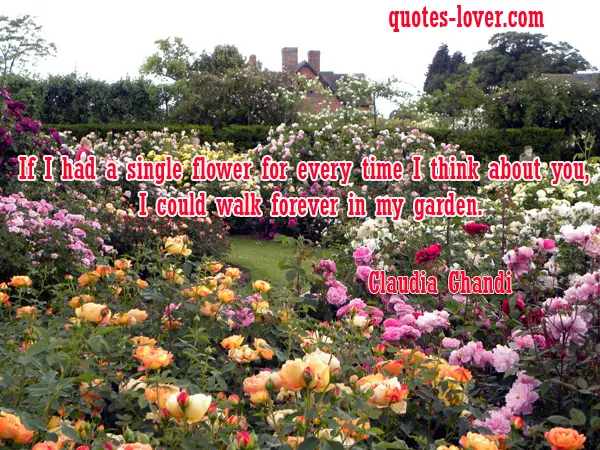 If I had a single flower for every time I think about you I could walk forever in my garden