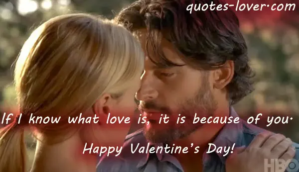 If I know what love is, it is because of you.