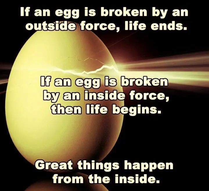 If an egg is broken by an outside force, life ends. If an egg is broken by an inside force, then life begins. Great things happen from the inside.