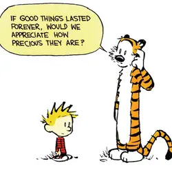 If good things lasted forever, would we appreciate how precious they are?