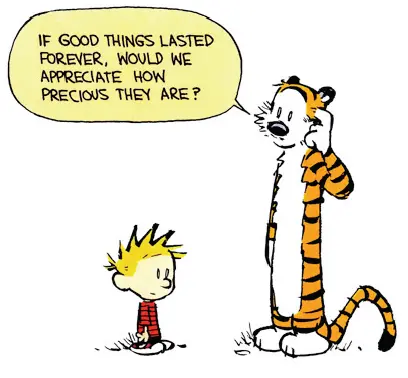If good things lasted forever, would we appreciate how precious they are?