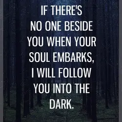 If there's no one beside you when your soul embarks, I will follow you into...