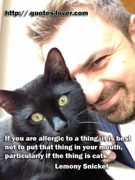 If you are allergic to a thing, it is best not to put that thing in your mouth, particularly if the thing is cats.