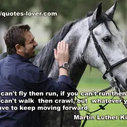 If you can't fly then run, if you can't run then walk, if you can't...
