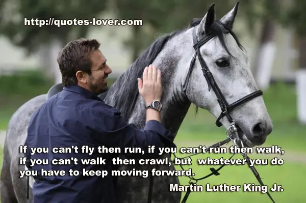 If you can't fly then run, if you can't run then walk, if you can't walk then crawl, but whatever you do you have to keep moving forward.