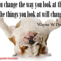 If you change the way you look at things, the things you look at will...