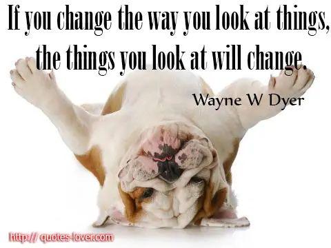 If you change the way you look at things, the things you look at will change.