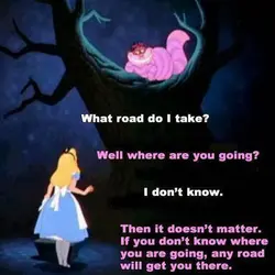 If you don't know where you are going, any road will get you there.