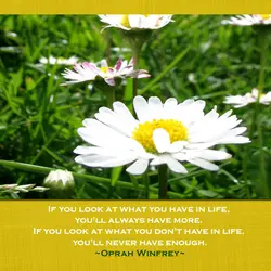 If you look at what you have in life, you'll always have more. If you...