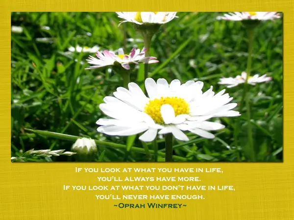 If you look at what you have in life, you'll always have more. If you look at what you don't have in life you'll never have enough.