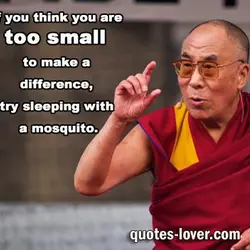 If you think are too small to make a difference try sleeping with a mosquito.