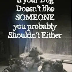 If your dog doesn't like someone you probably shouldn't either.