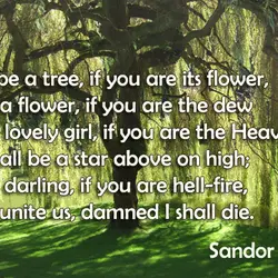 I’ll be a tree, if you are its flower, Or a flower, if you are...