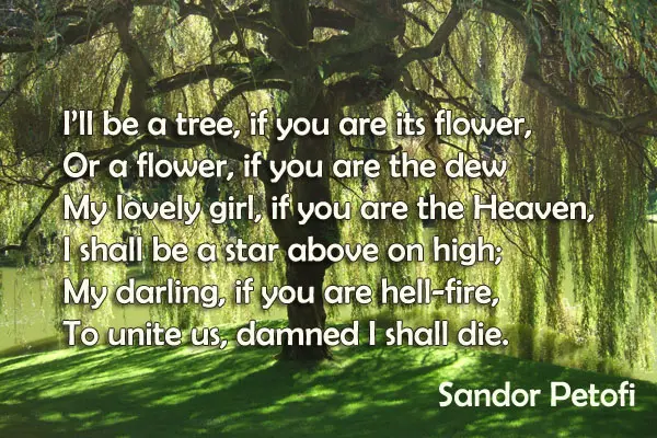 I’ll be a tree, if you are its flower, Or a flower, if you are the dew