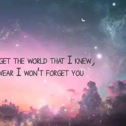 I'll forget the world that I knew, but I swear I won't forget you