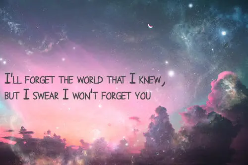 I'll forget the world that I knew, but I swear I won't forget you