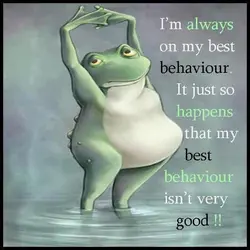 I'm always on my best behaviour. It just so happens that my best behaviour isn't...
