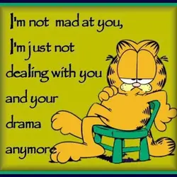 I'm not mad at you. I'm just not dealing with you and your drama anymore