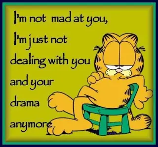 I'm not mad at you. I'm just not dealing with you and your drama anymore