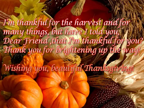 I’m thankful for the harvest and for many things, but have I told you, Dear Friend ,that I’m thankful for you? Thank you for brightening up the way! Wishing you, beautiful Thanksgiving!