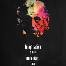 Imagination is more important than knowledge