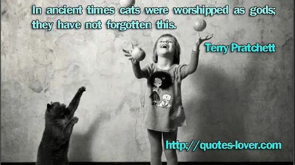 In ancient times cats were worshipped as gods; they have not forgotten this.
