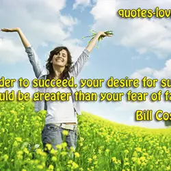 In order to succeed your desire for success should be greater than your fear of...